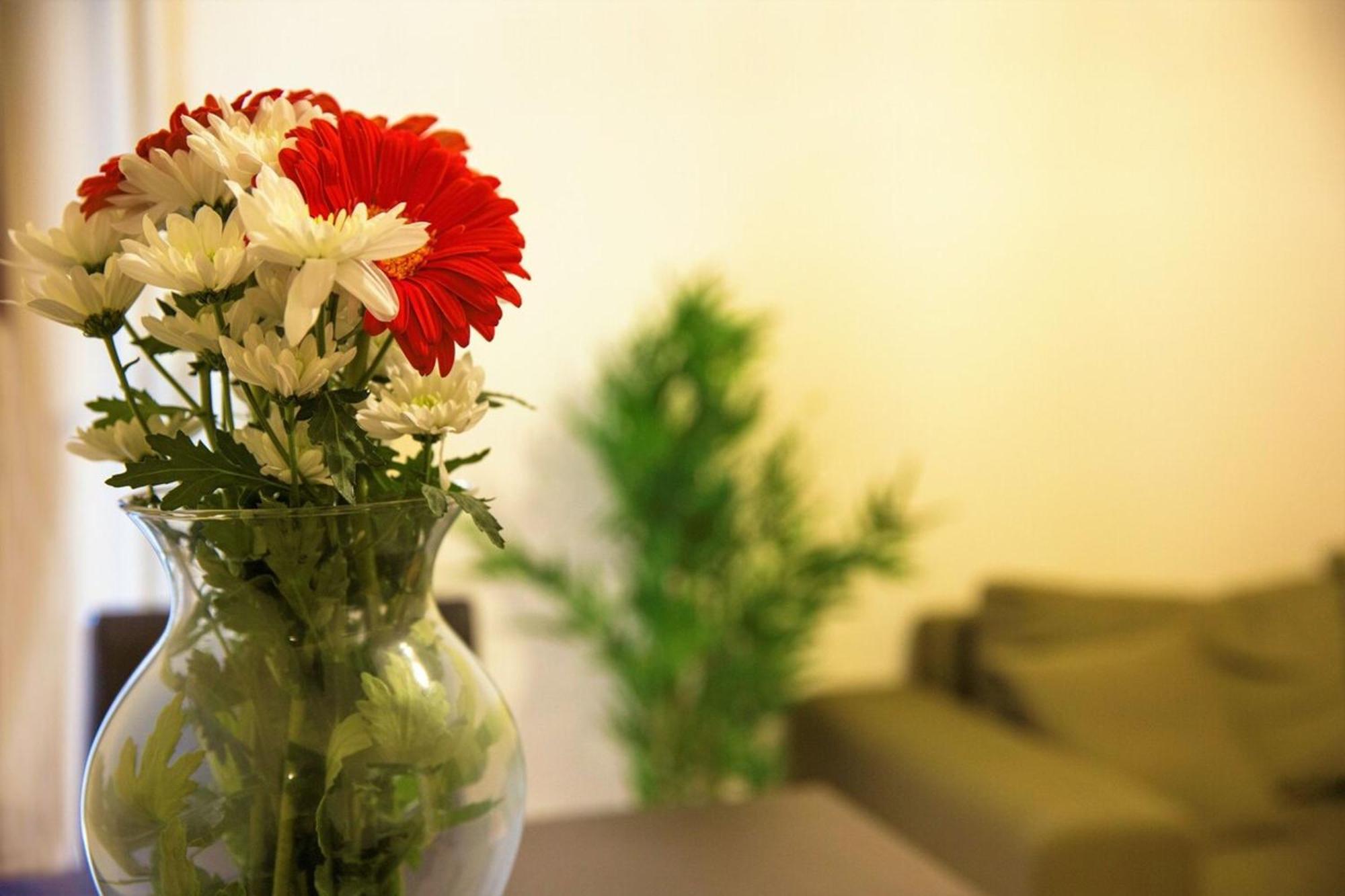 Peaceful Renovated Apartment Near Lycabettus Hill Афіни Екстер'єр фото